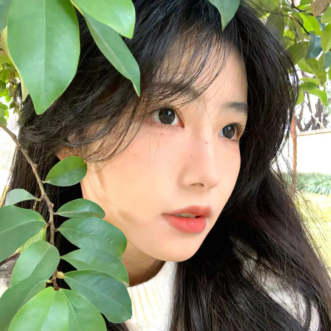 追踪巨型鱼